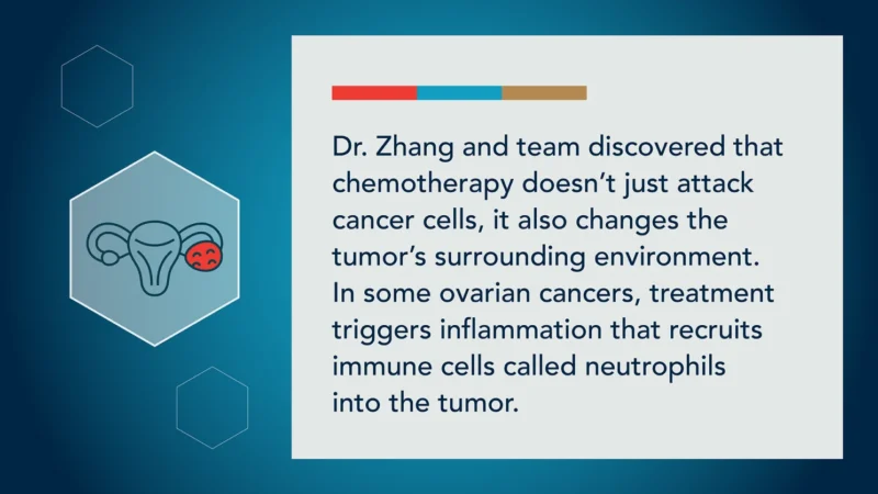 Susanna Fletcher Greer: We've Been Knocking on the Wrong Door - A New Approach to Ovarian Cancer 2 Susanna Fletcher Greer: We've Been Knocking on the Wrong Door - A New Approach to Ovarian Cancer