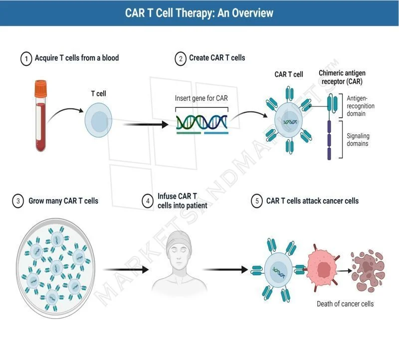 5 Must-Read Posts About CAR-T This Week
