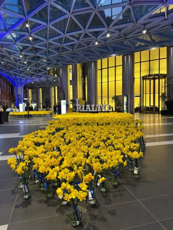 Lorenz Grollo: Rialto Melbourne is Lit Up Gold and Blue This Week for Daffodil Day 2 Lorenz Grollo
