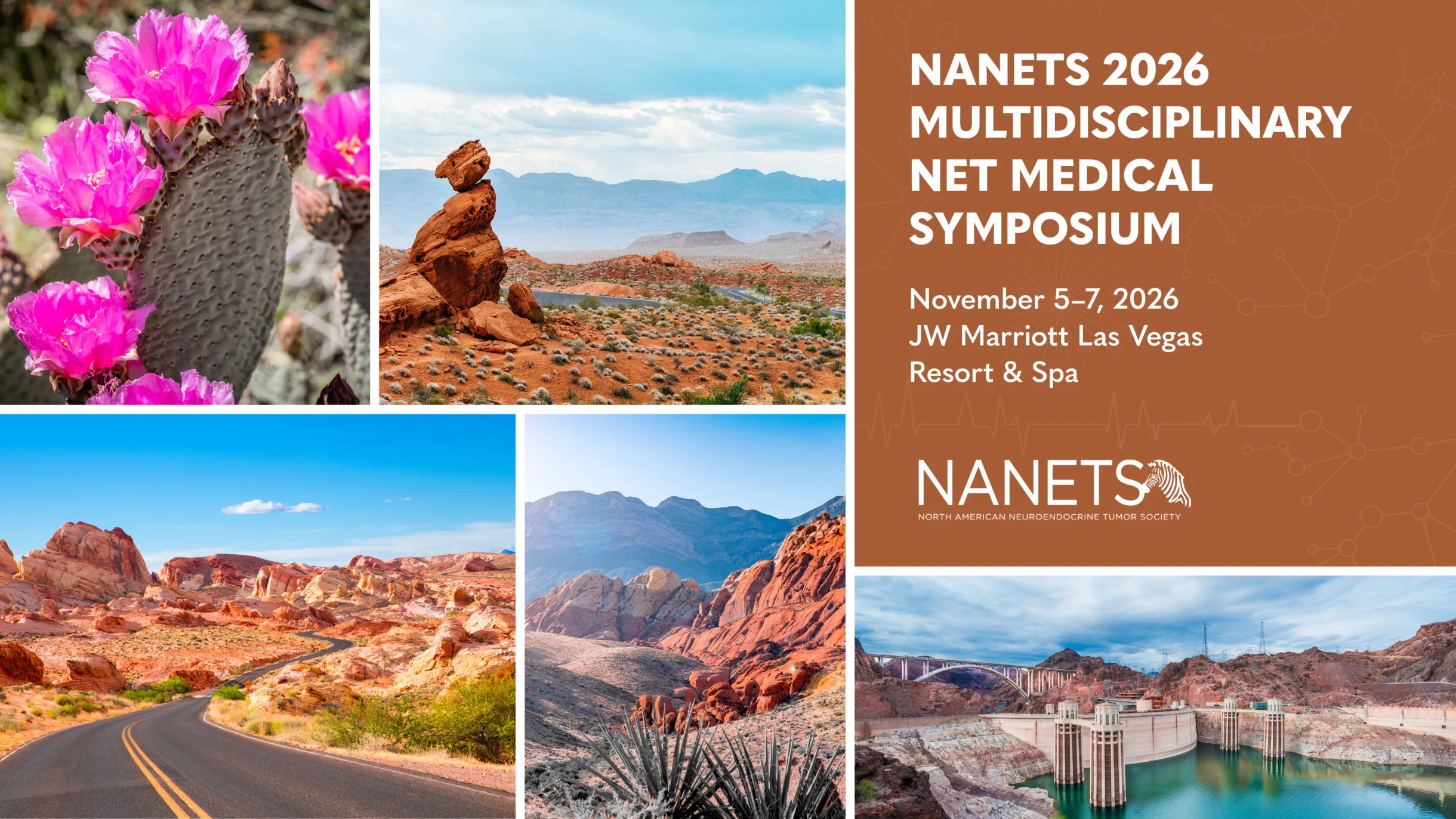 NANETS