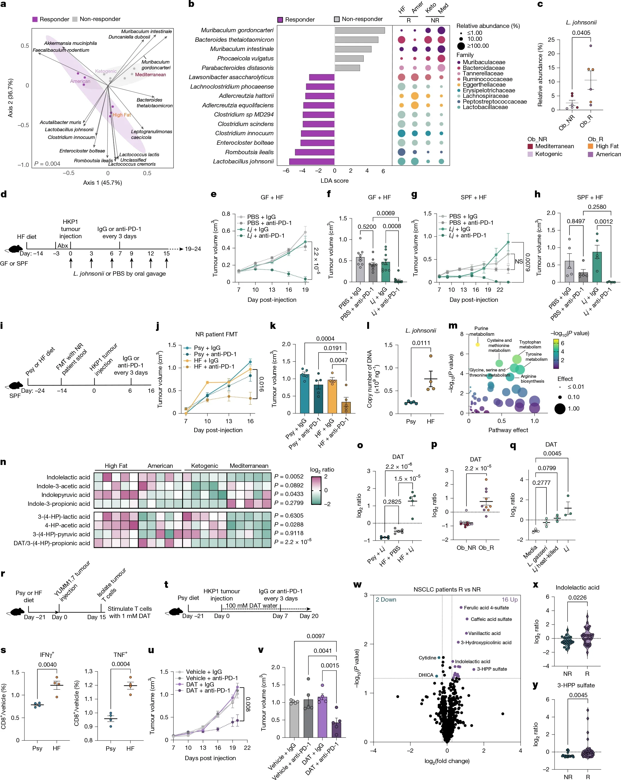 Can Diet and the Gut Microbiome Improve Immunotherapy Response? 4 gut microbiome