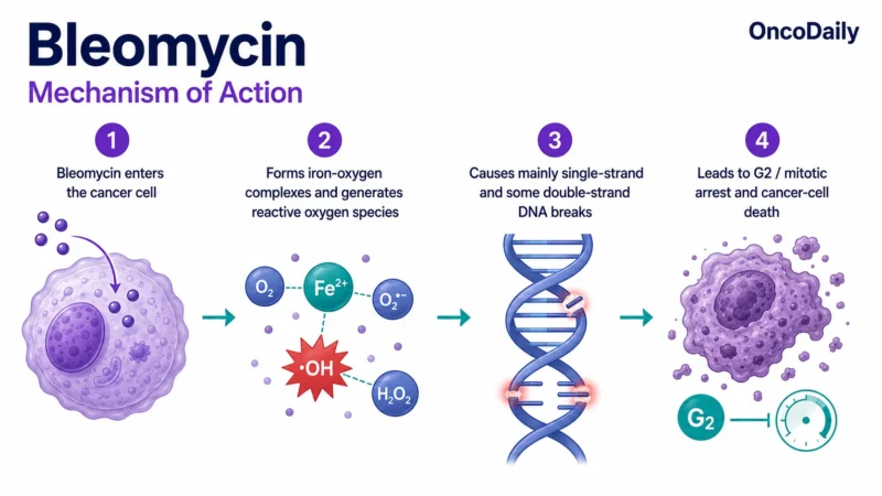 Bleomycin