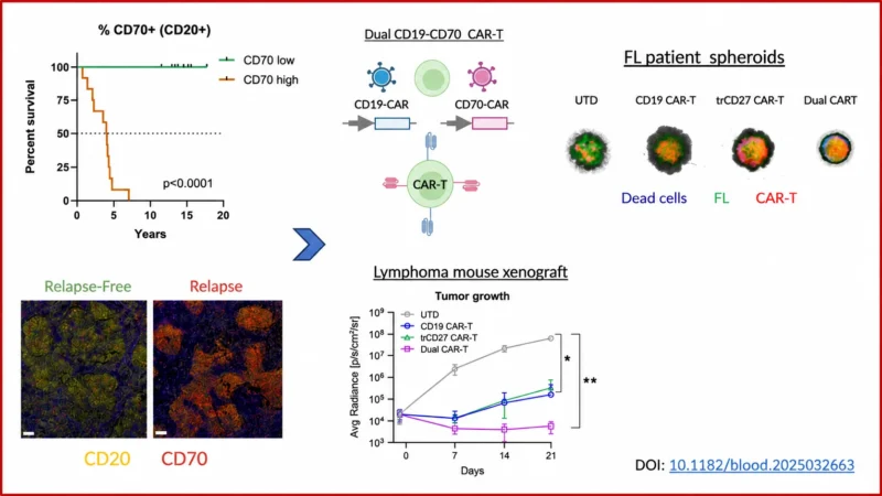 Patricia Perez Galan: Unlocking Next-Generation Dual CAR-T Therapy to Stop Lymphoma Relapse