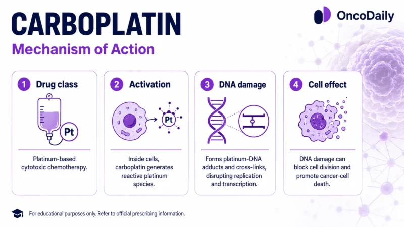 Carboplatin: A Key Platinum Chemotherapy in Cancer Treatment 17 Carboplatin