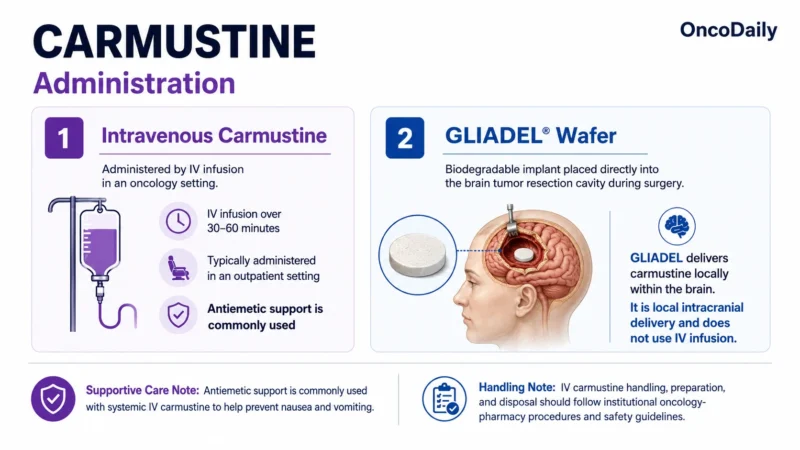 Carmustine: An Established Nitrosourea Chemotherapy for Brain Tumors and Hematologic Malignancies 11 Carmustine