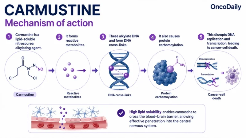 Carmustine: An Established Nitrosourea Chemotherapy for Brain Tumors and Hematologic Malignancies 9 Carmustine