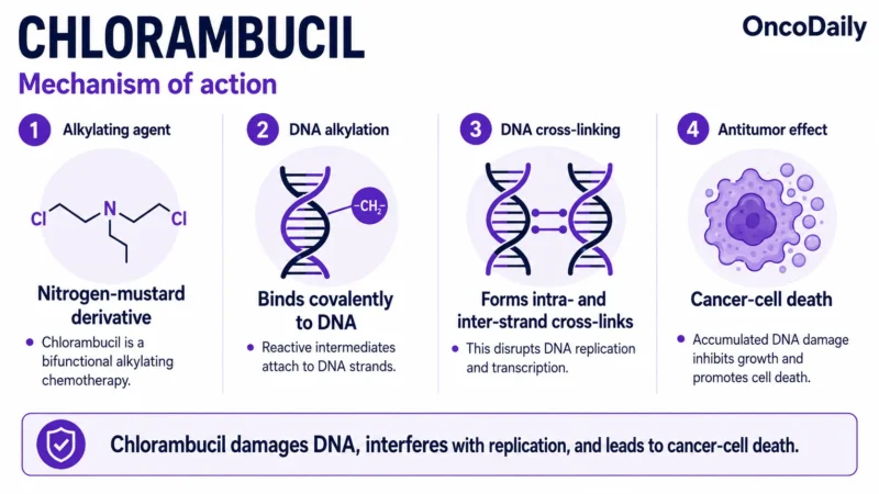Chlorambucil: An Established Alkylating Chemotherapy for Hematologic Malignancies 17 Chlorambucil