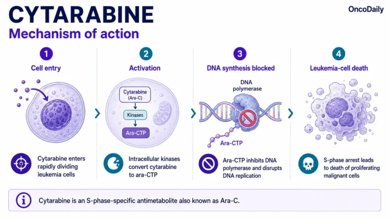 Cytarabine