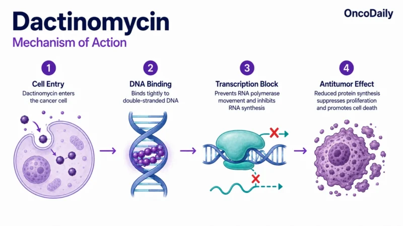 Dactinomycin