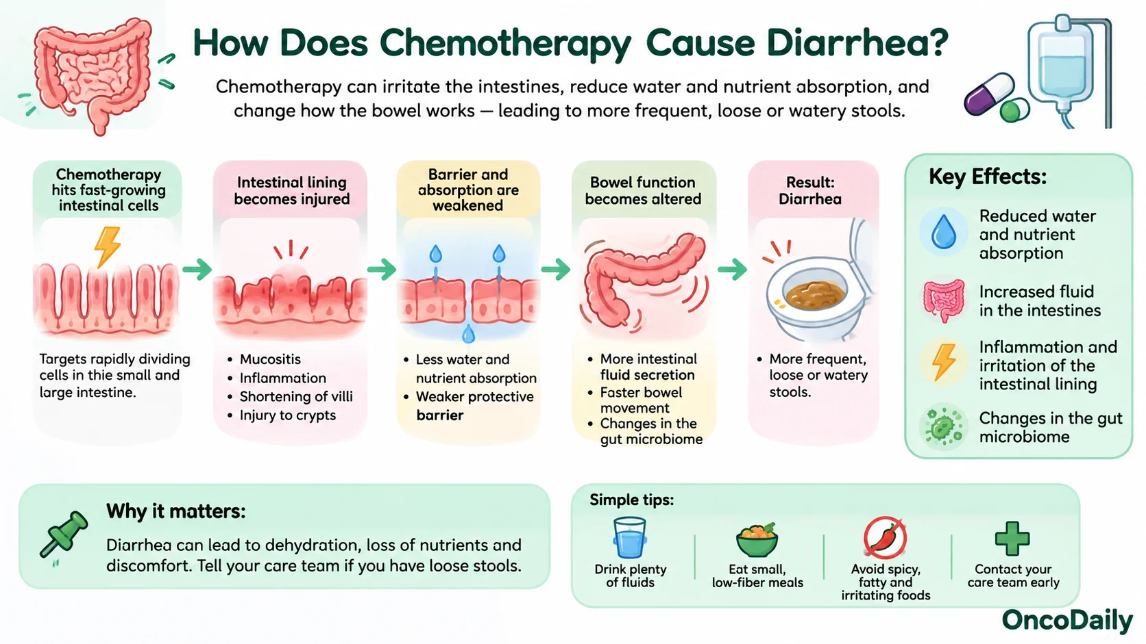 Chemotherapy-Induced Diarrhea: Mechanisms, Risk Factors, Impact, and Management 3 Chemotherapy-Induced Diarrhea: Mechanisms, Risk Factors, Impact, and Management
