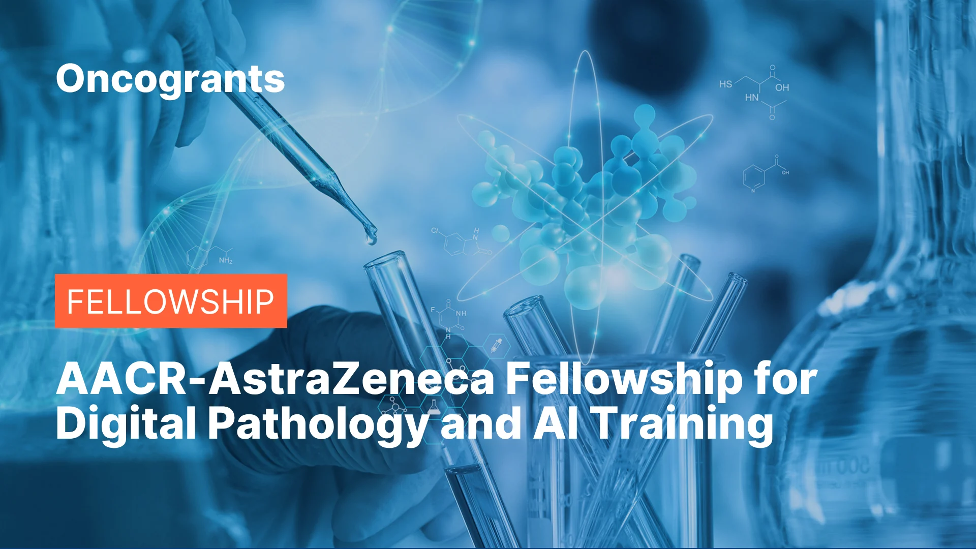 AI Training