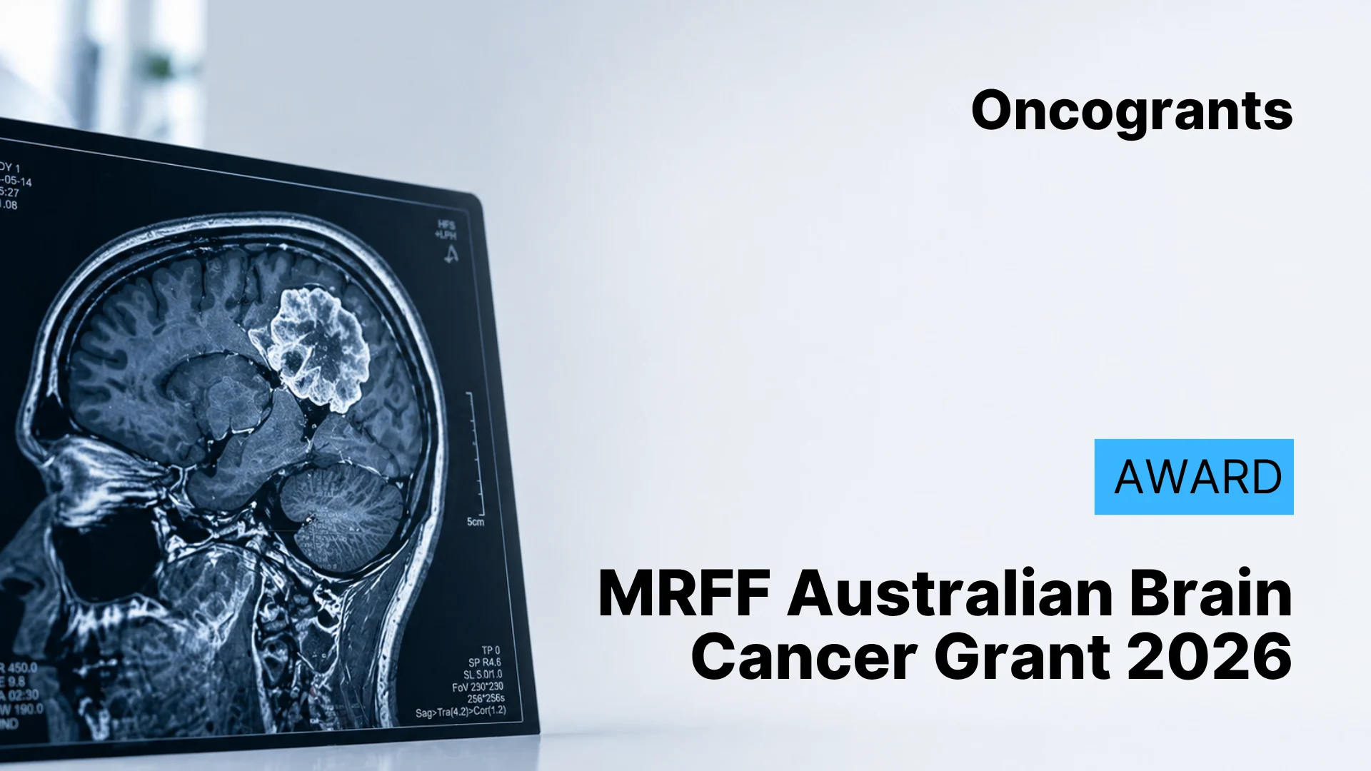 Brain Cancer Research Grant