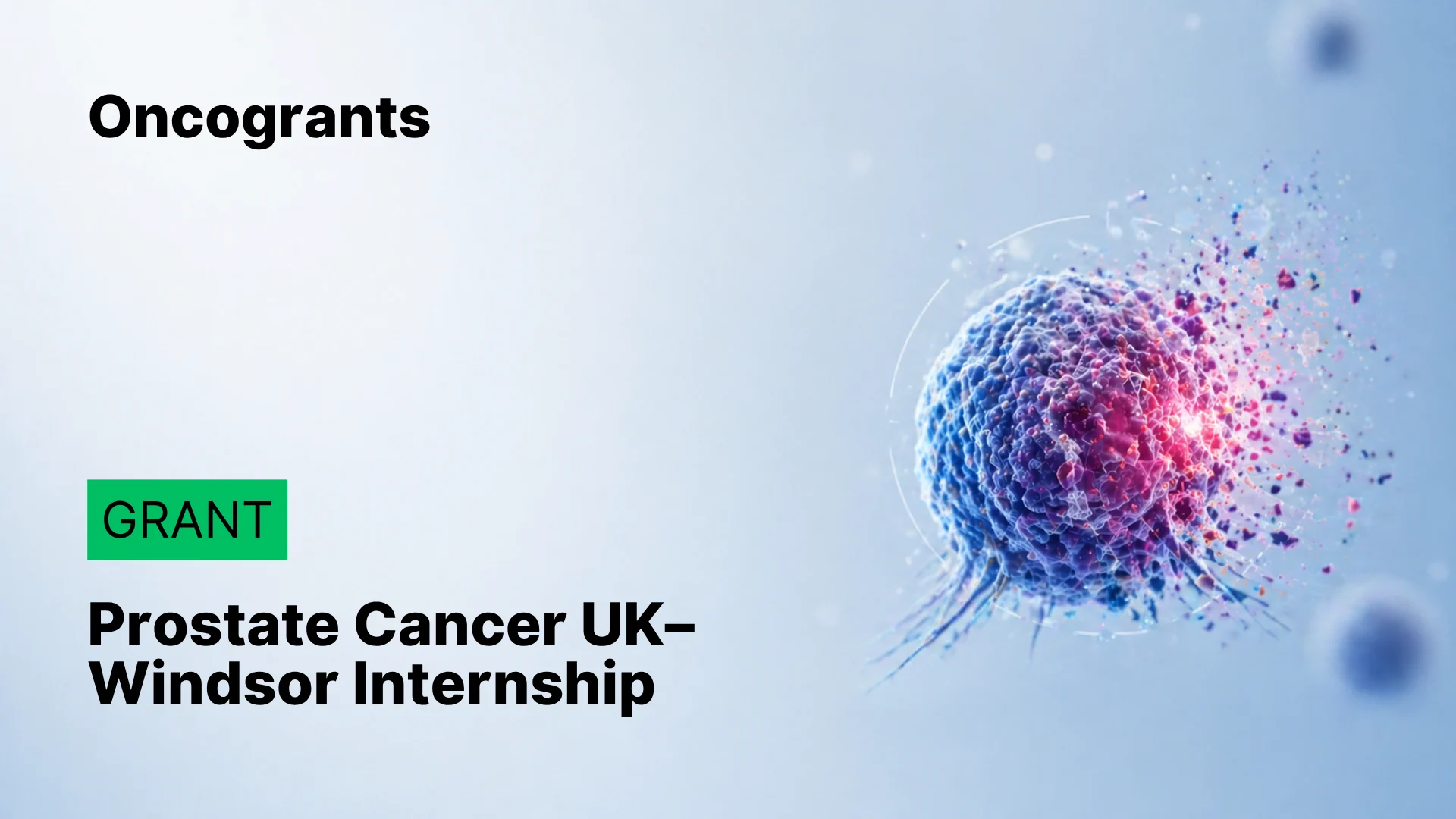 Prostate Cancer UK Internship Programme