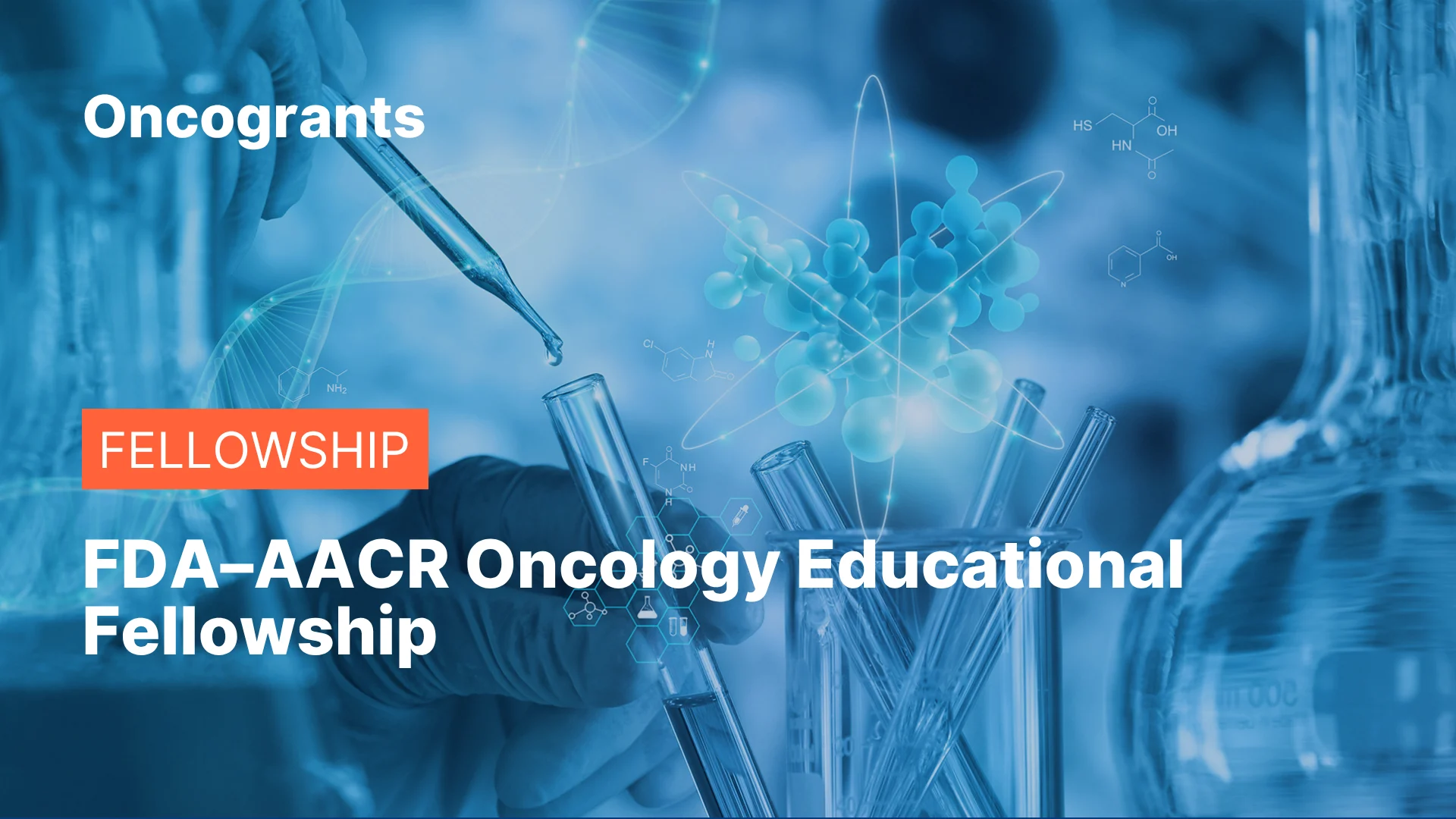 FDA–AACR Oncology