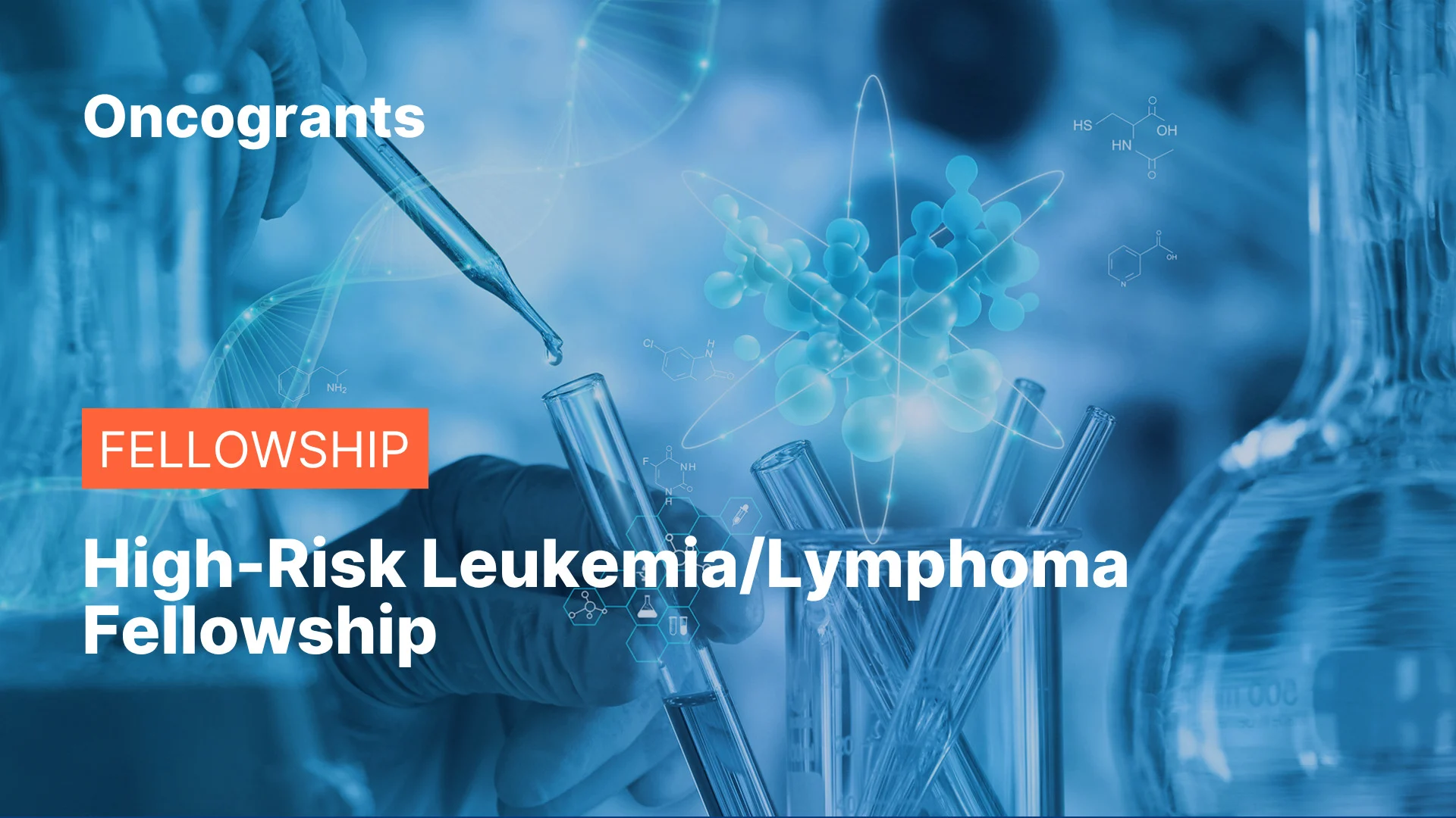 Leukemia/Lymphoma Fellowship