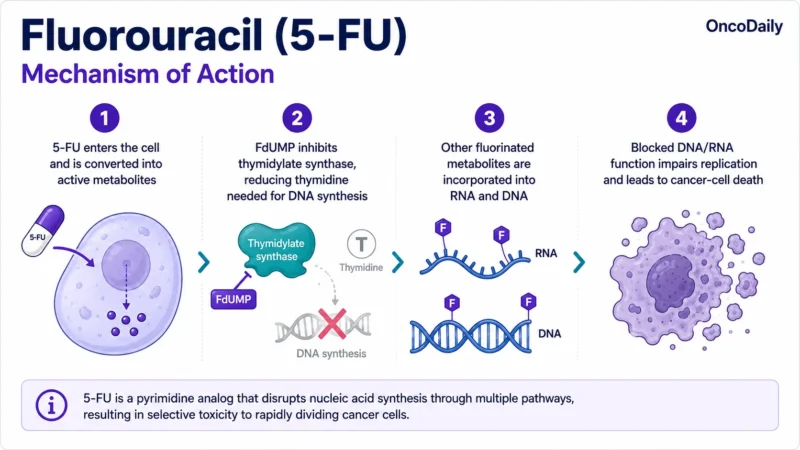 Fluorouracil (5-FU): Mechanism of Action, Dose, Administration, Clinical Uses, and Side Effects 17 Fluorouracil (5-FU)