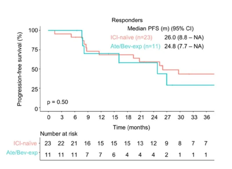 Hong Jae Chon։ Study Explores Nivolumab Plus Ipilimumab After Atezolizumab Plus Bevacizumab in Advanced HCC 2 Hong Jae Chon