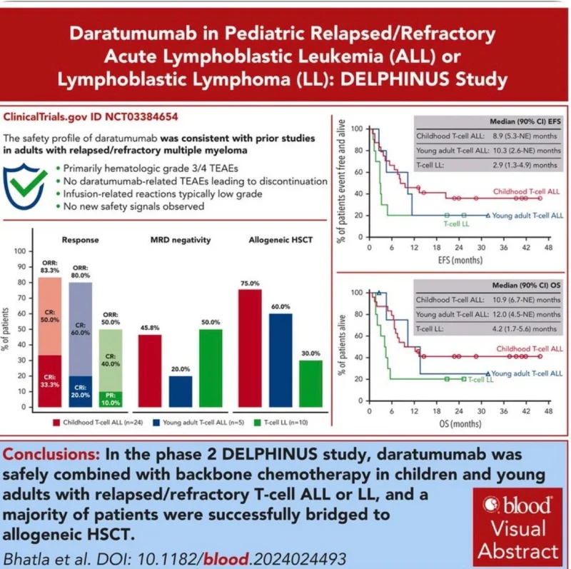 Talha Badar: Daratumumab With Chemotherapy Achieved an 83% Response Rate According Delphinus 2 Talha Badar