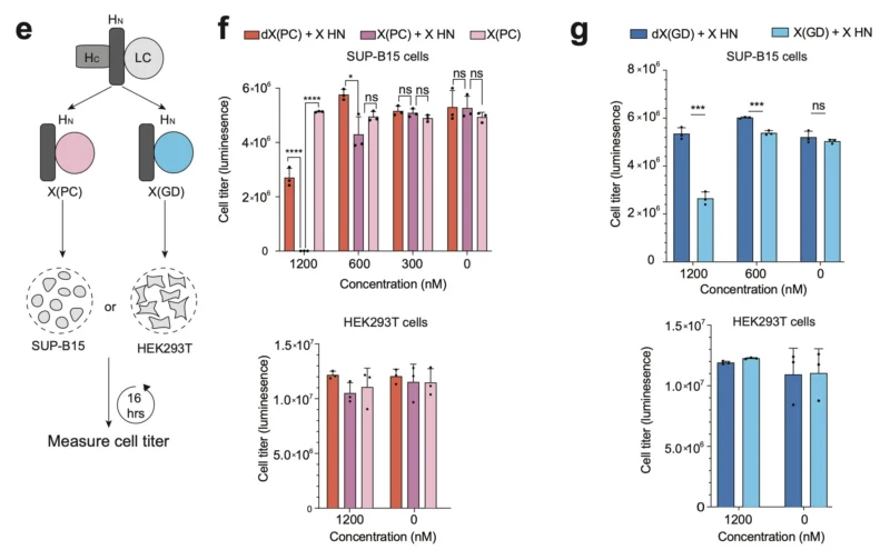 David Liu: Engineered Botulinum Toxin Proteases Trigger Cancer Cell Death 9 David R. Liu