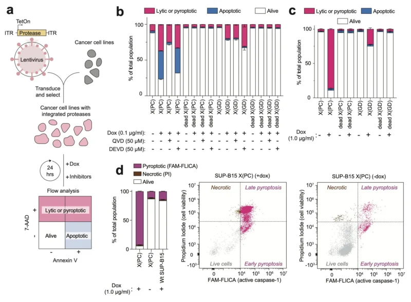 David Liu: Engineered Botulinum Toxin Proteases Trigger Cancer Cell Death 8 David R. Liu