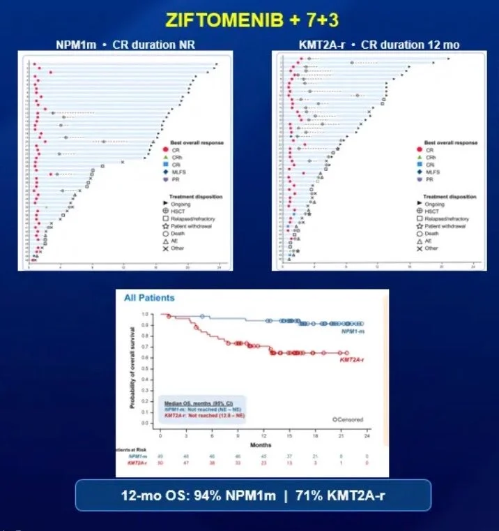 Talha Badar: Biology, Combinations, and Resistance Pathways of Menin Inhibitors in AML 4 Talha Badar: Biology, Combinations, and Resistance Pathways of Menin Inhibitors in AML