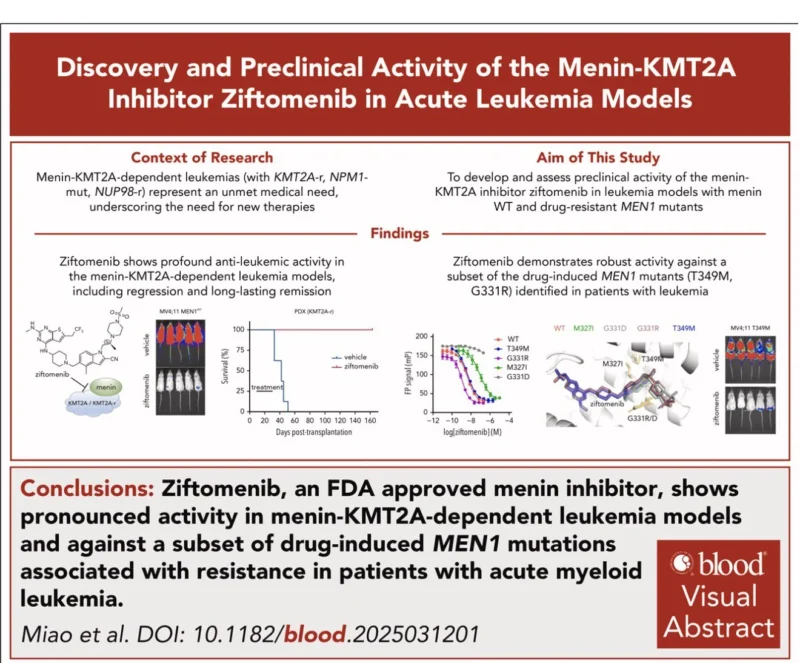 Talha Badar: Biology, Combinations, and Resistance Pathways of Menin Inhibitors in AML 5 Talha Badar: Biology, Combinations, and Resistance Pathways of Menin Inhibitors in AML