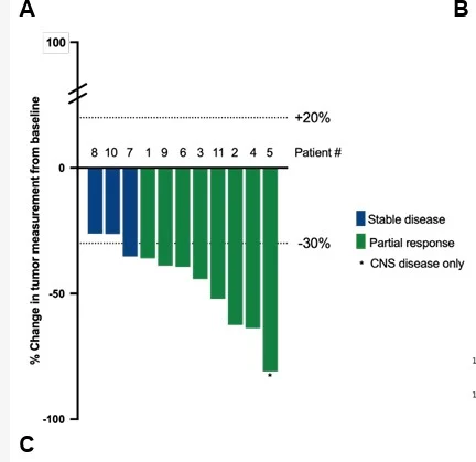 Laura Alder: Tarlatamab Demonstrates Strong Responses in DLL3-High Pulmonary Carcinoid 2 Laura Alder