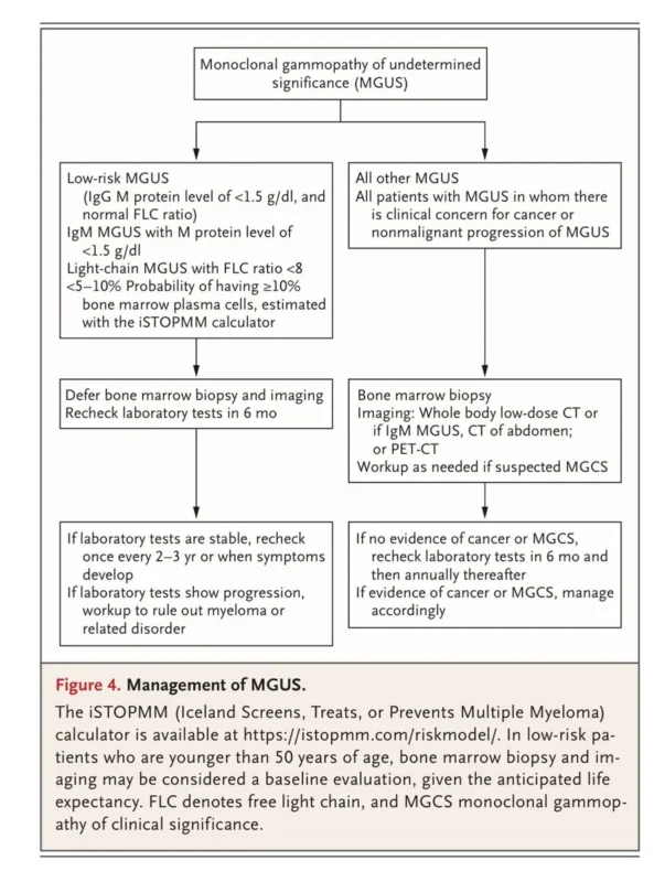 Vincent Rajkumar: Rethinking the Diagnosis of Monoclonal Gammopathy of Clinical Significance 2 Vincent Rajkumar: Rethinking the Diagnosis of Monoclonal Gammopathy of Clinical Significance