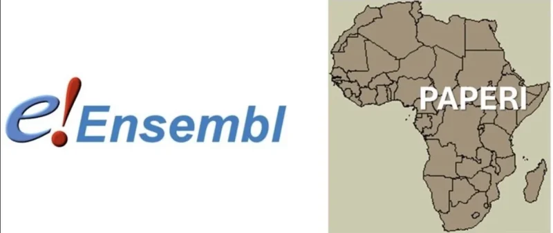 Wafaa Rashed: PAPERI and the Future of African Genomics Training