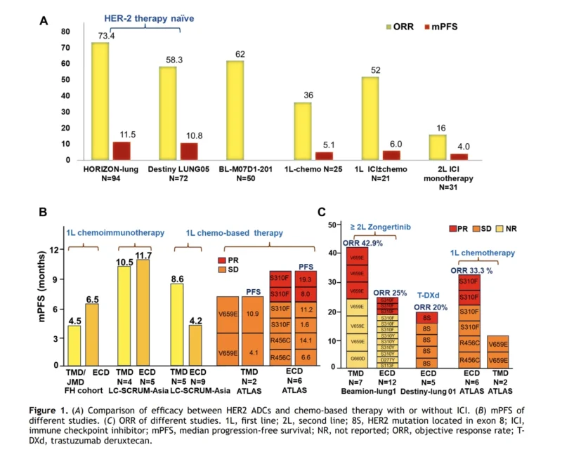 HER2 Mutations in NSCLC: Critical Risks of Outdated Terms 2 HER2 mutations