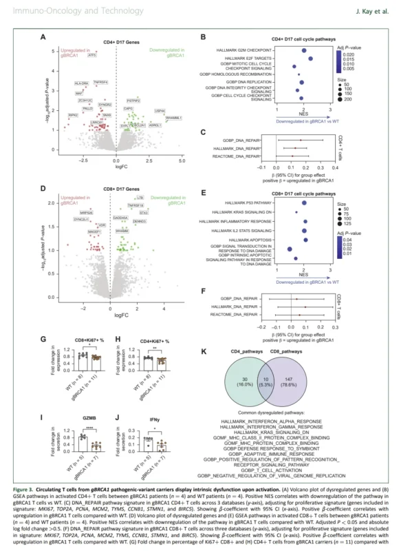 Germline BRCA1 