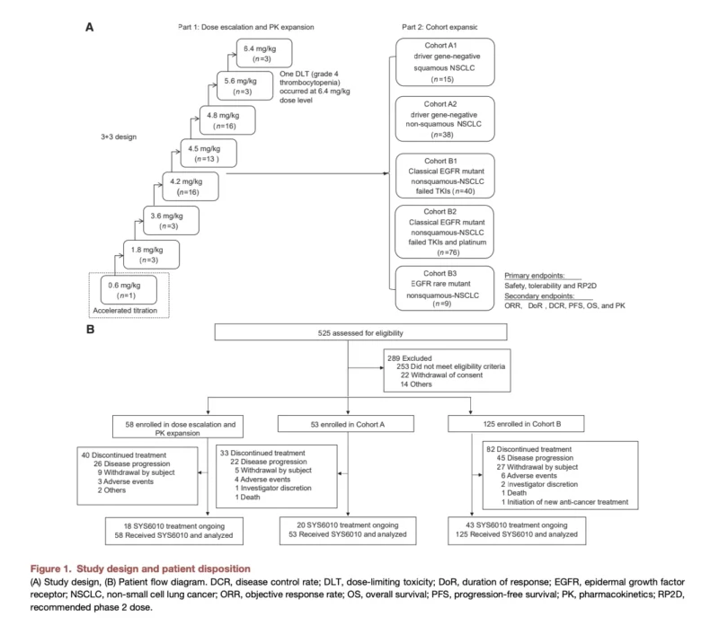 SYS6010 Shows Encouraging Activity Across Pretreated NSCLC 2 SYS6010