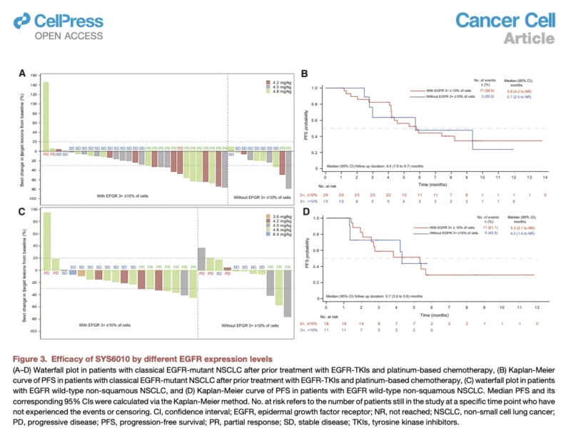 SYS6010 Shows Encouraging Activity Across Pretreated NSCLC 4 SYS6010