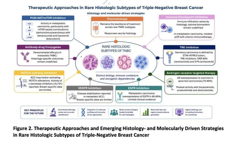 Rare Triple-Negative Breast Cancer Is Not One Disease 3 Rare