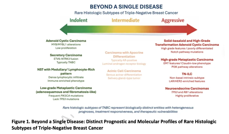 Rare Triple-Negative Breast Cancer Is Not One Disease 2 Rare