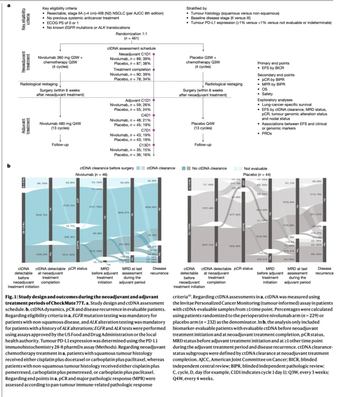 CheckMate 77T: ctDNA Clearance and MRD Refine Risk After Perioperative Nivolumab 2 CheckMate 77T