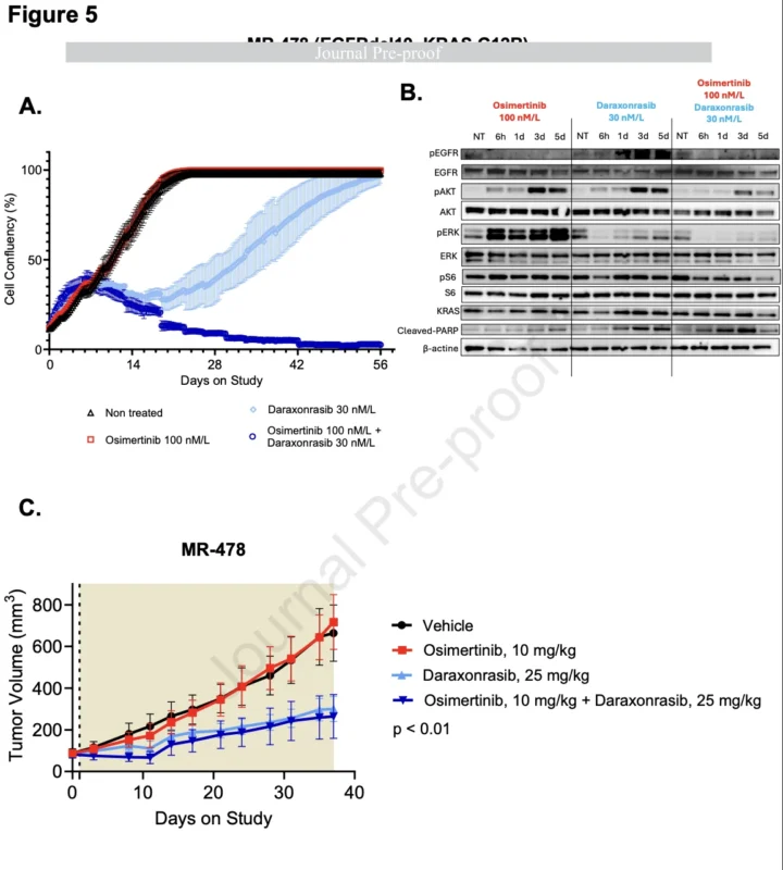 RAS-Mediated Resistance Emerges Across Oncogene-Driven NSCLC 6 RAS-Mediated Resistance