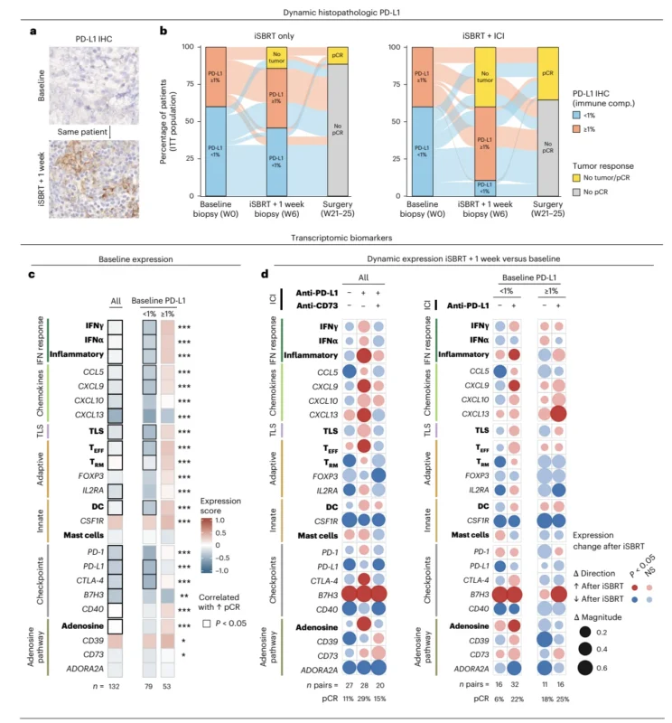 Neo-CheckRay: iSBRT and Durvalumab in High-Risk ER+/HER2− Breast Cancer 5 Neo-CheckRay