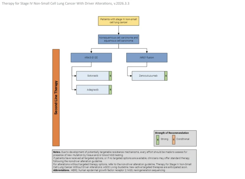 7 Powerful Advances in the ASCO 2026 Guideline for Driver-Positive Stage IV NSCLC 4 ASCO