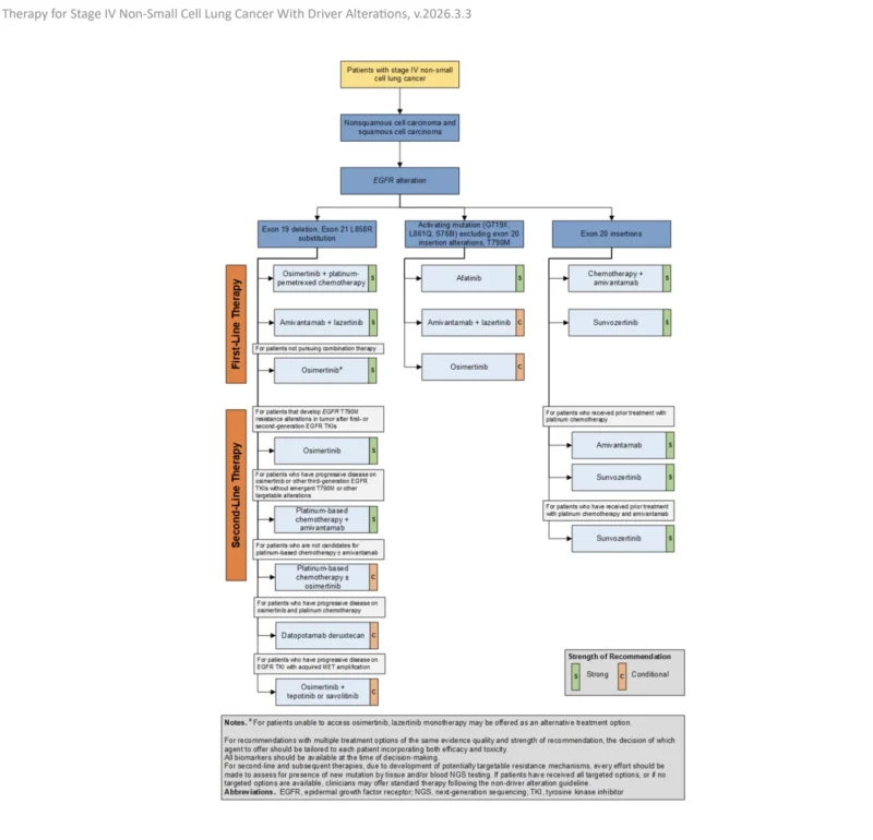 7 Powerful Advances in the ASCO 2026 Guideline for Driver-Positive Stage IV NSCLC 2 ASCO