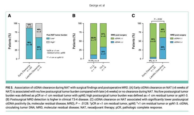 ctDNA During Neoadjuvant Therapy: Toward Real-Time Risk Stratification in Early Breast Cancer 4 ctDNA