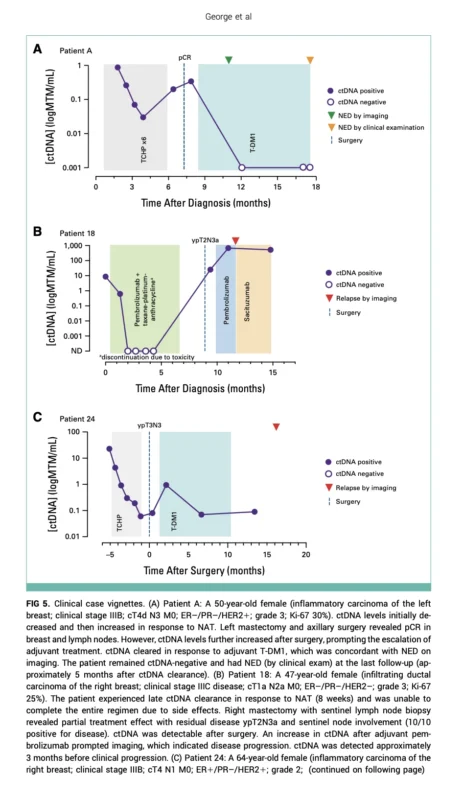 ctDNA During Neoadjuvant Therapy: Toward Real-Time Risk Stratification in Early Breast Cancer 5 ctDNA