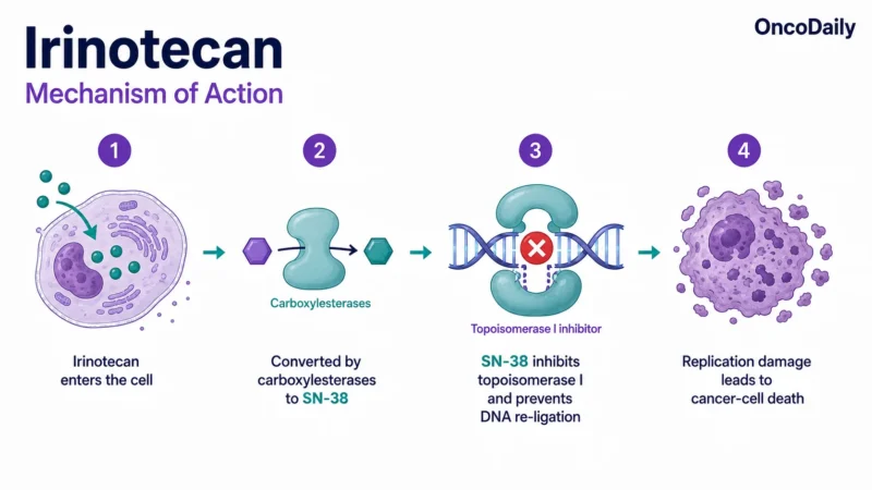 Irinotecan: Mechanism of Action, Dose, Administration, Clinical Uses, and Side Effects 17 Irinotecan