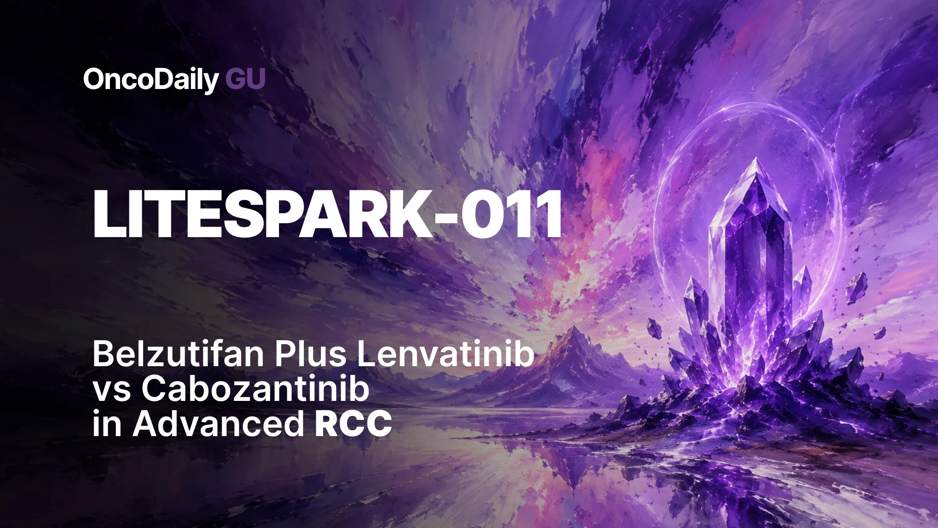 LITESPARK-011