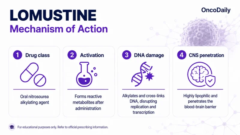 Lomustine: A Key Oral Chemotherapy for Brain Tumors and Glioblastoma 9 Lomustine