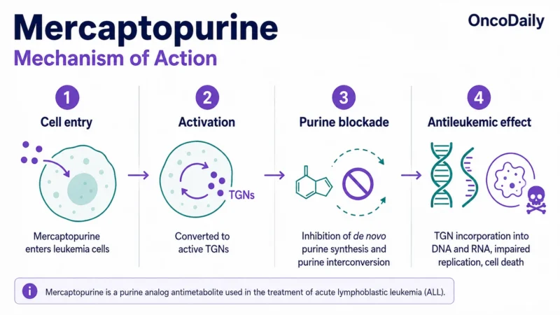 Mercaptopurine: Mechanism of Action, Dose, Administration, Clinical Uses, and Side Effects 9 Mercaptopurine