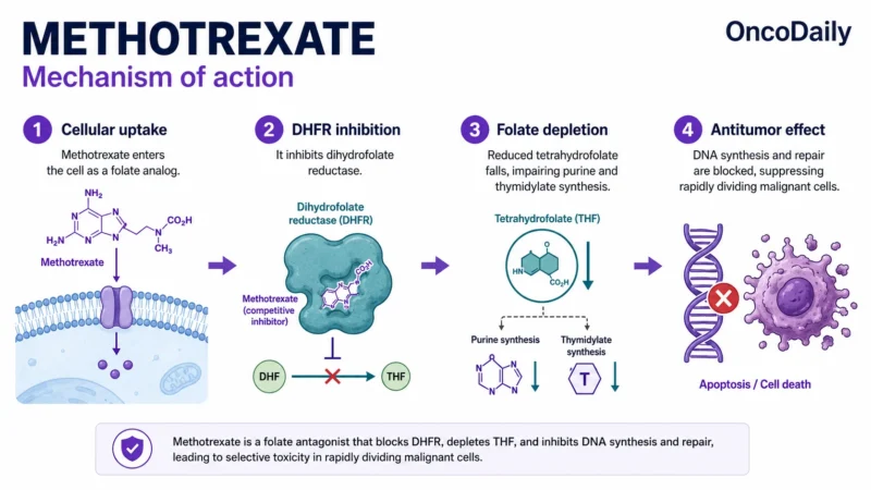 Methotrexate: An Established Antimetabolite Chemotherapy in Leukemia, Lymphoma, Osteosarcoma, and Other Cancers 17 Methotrexate