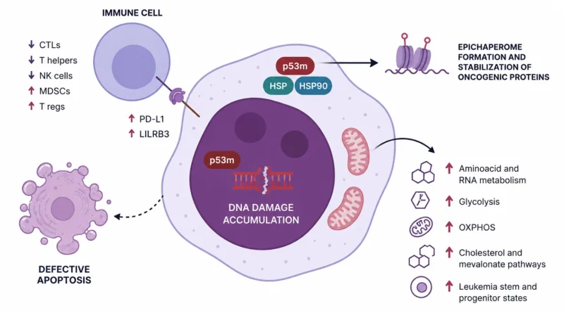 TP53-Mutated MDS: Can New Therapies Change the Prognosis? 2 TP53-Mutated MDS: Can New Therapies Change the Prognosis?