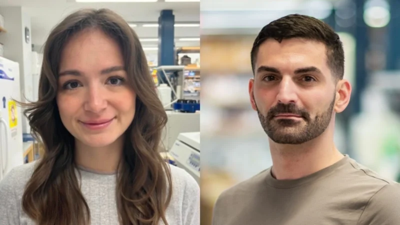 Discovery of CHL1-Positive Fibroblasts Reveals Potential Lung Cancer Treatment Target – Lung Cancer Europe