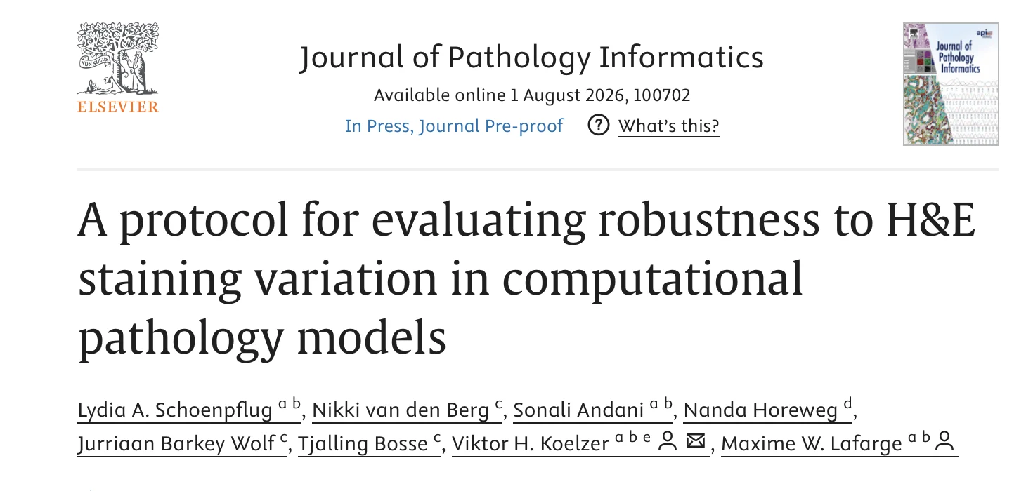 Lydia Schönpflug: Breakthrough Protocol Advances Robustness Testing for Pathology AI 3 Lydia Schönpflug: Breakthrough Protocol Advances Robustness Testing for Pathology AI